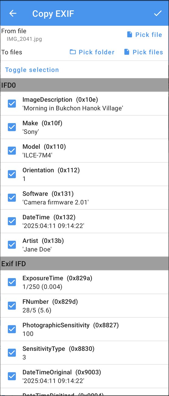 Copiar EXIF: as tags da foto de origem, prontas para copiar