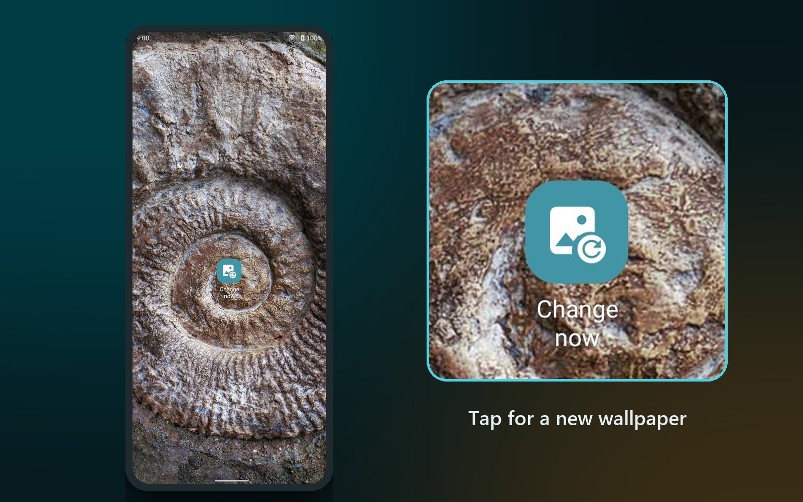 The new Daily Wallpapers widget on the home screen