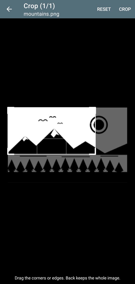 Cropping an image before it is converted