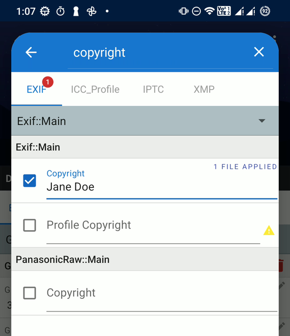 Copyright "Jane Doe" typed, then ticked, in Add the new tags