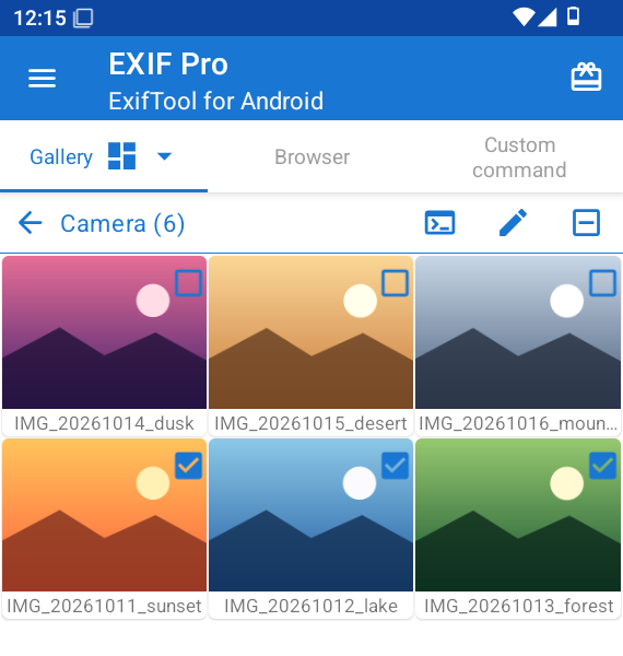 Three photos selected in the Gallery, with the Run command button